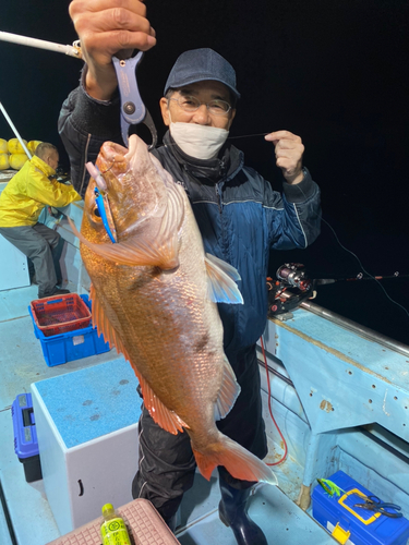 マダイの釣果