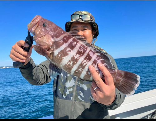 マハタの釣果