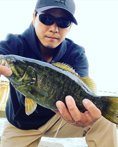 スモールマウスバスの釣果