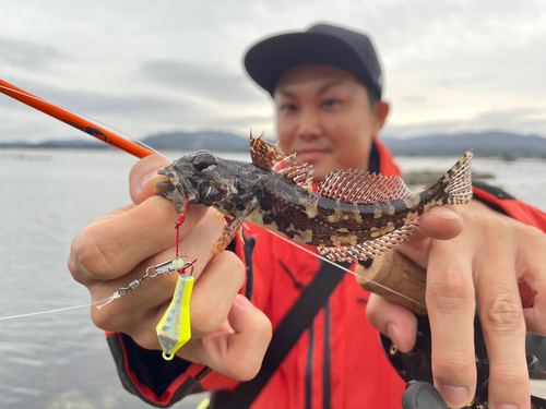 アサヒアナハゼの釣果