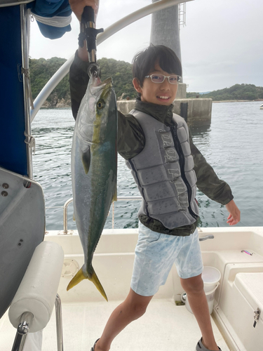 ハマチの釣果