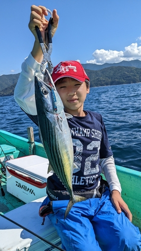 オオモンハタの釣果