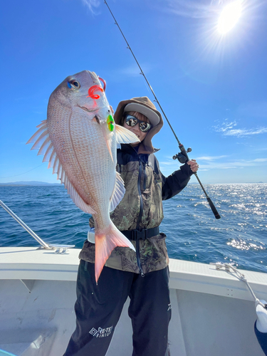 タイの釣果