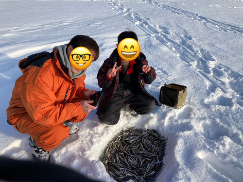 ワカサギの釣果