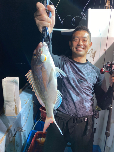 マダイの釣果