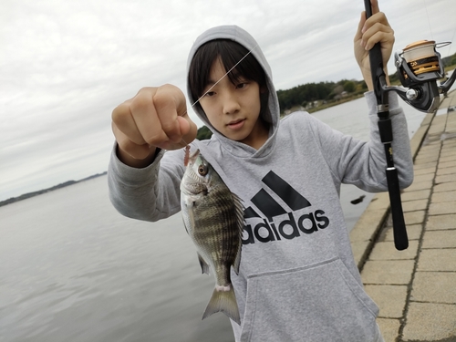 ハゼの釣果