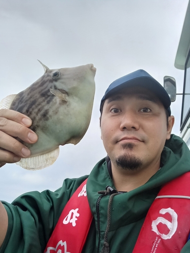 カワハギの釣果