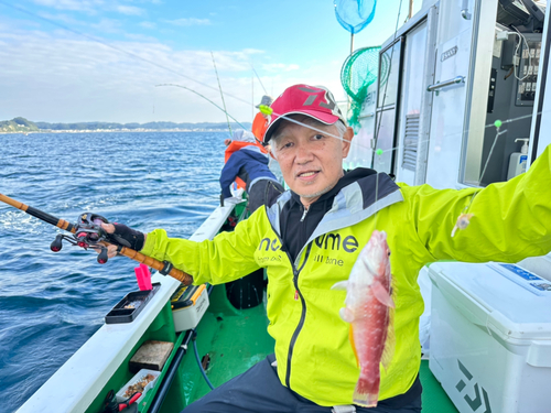 ホシササノハベラの釣果