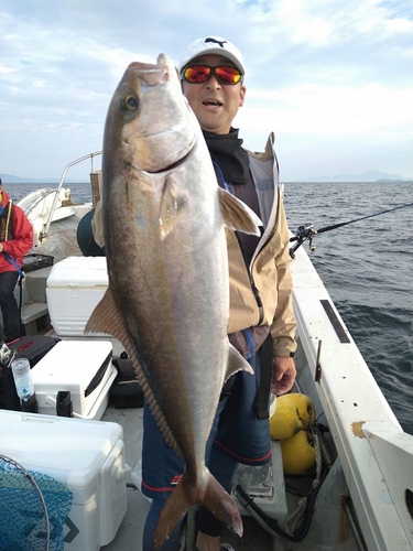 カンパチの釣果