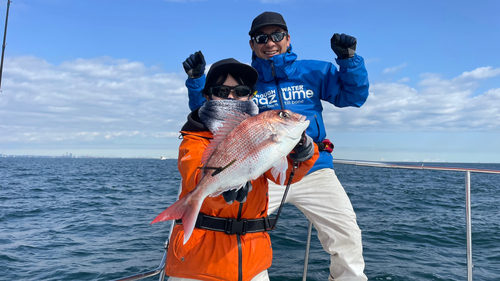 マダイの釣果