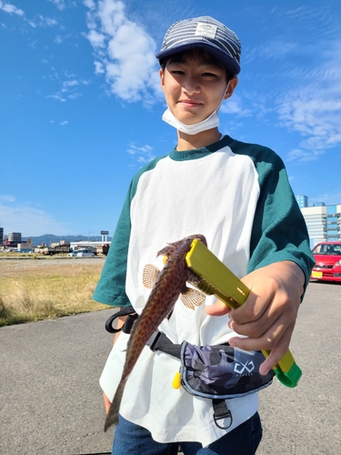 オオモンハタの釣果