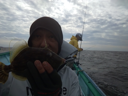 カワハギの釣果