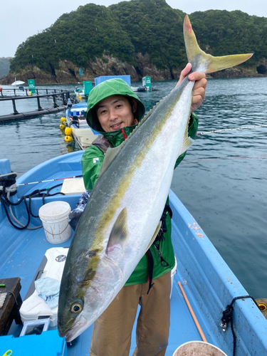 ブリの釣果