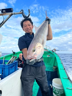 カンパチの釣果