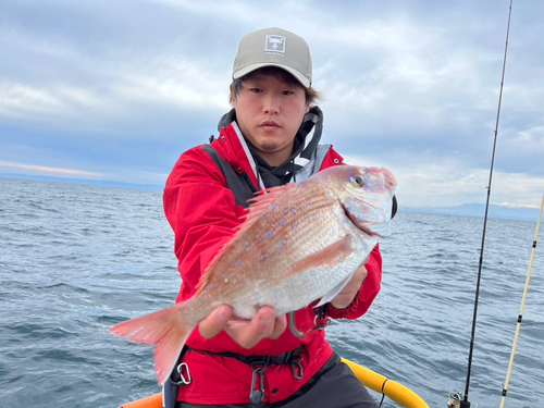 ハナダイの釣果