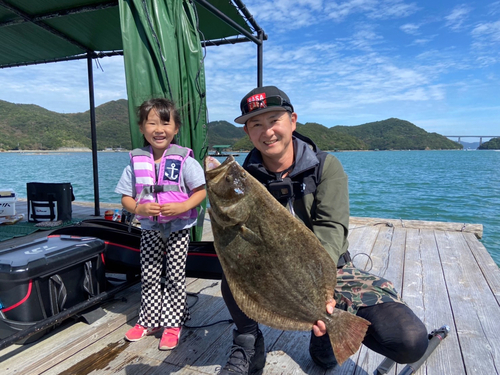 ヒラメの釣果