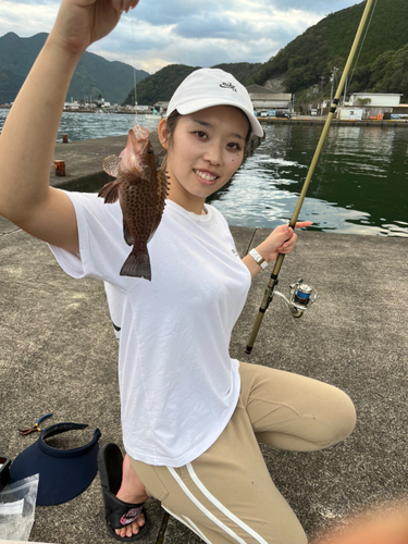 オオモンハタの釣果