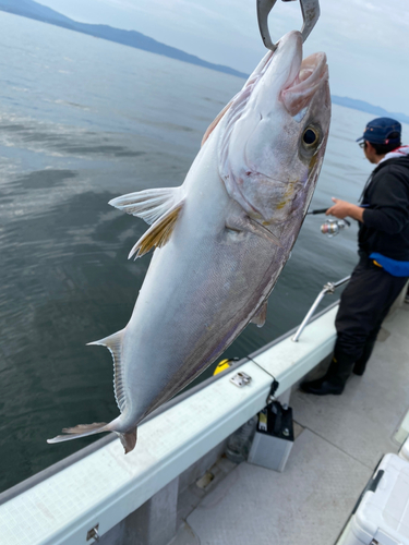 ネリゴの釣果