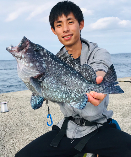 ツチホゼリの釣果