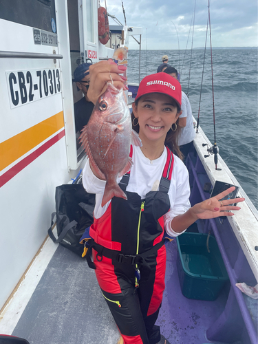 マダイの釣果