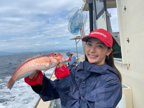 アマダイの釣果