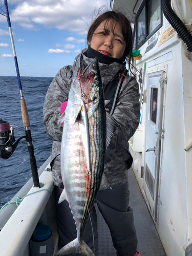 ハガツオの釣果