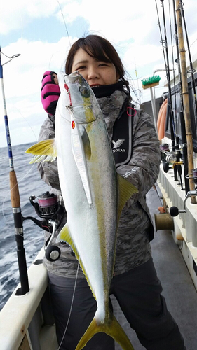 ヒラマサの釣果