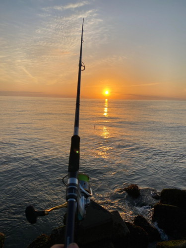 アイナメの釣果