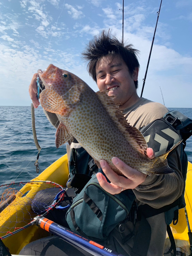 オオモンハタの釣果