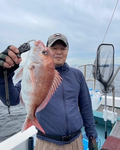 マダイの釣果