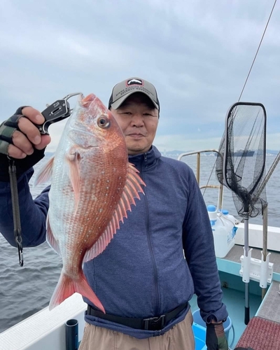 マダイの釣果