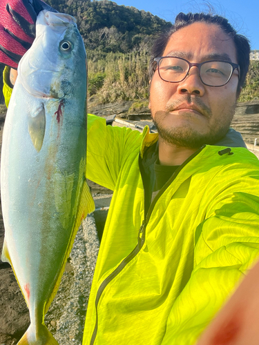 カンパチの釣果