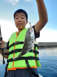 シマアジの釣果