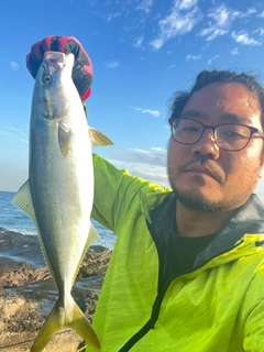 カンパチの釣果