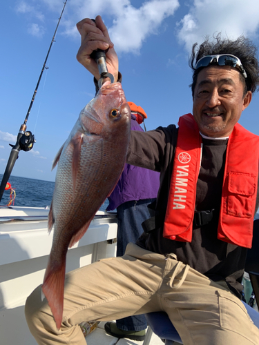 マダイの釣果