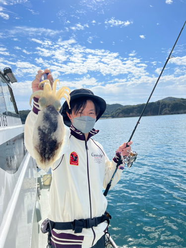 コウイカの釣果