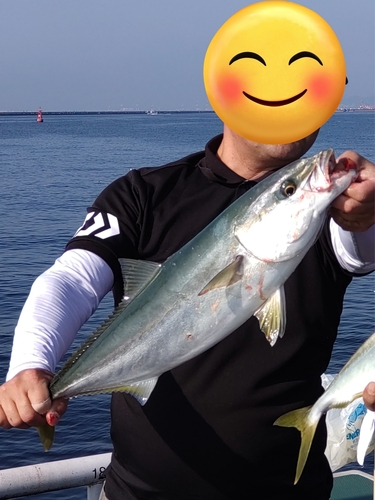 メジロの釣果