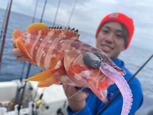 アカハタの釣果