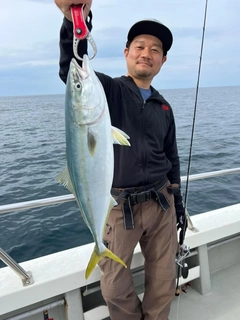 ハマチの釣果