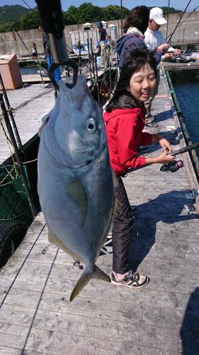 シマアジの釣果