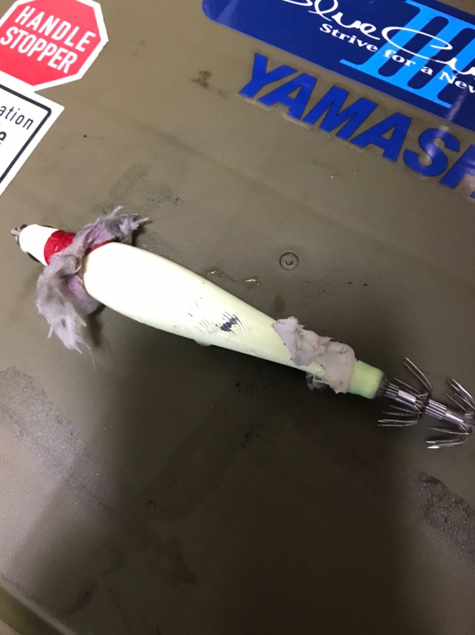 飼い猫の名前はクロさんの釣果 3枚目の画像