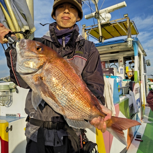 マダイの釣果