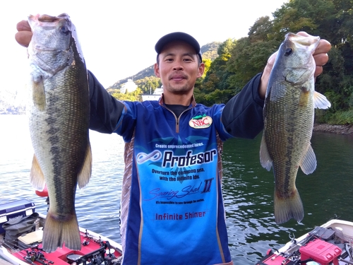 ブラックバスの釣果