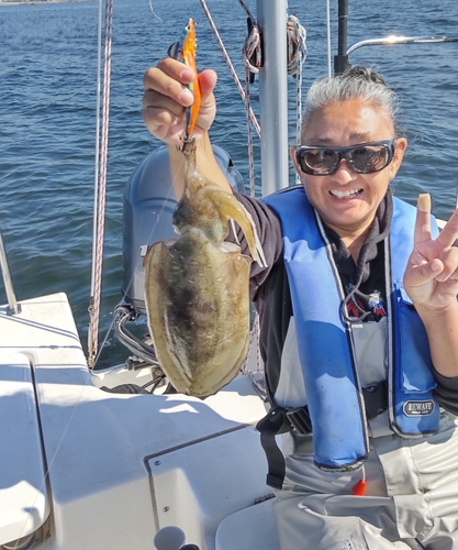 モンゴウイカの釣果