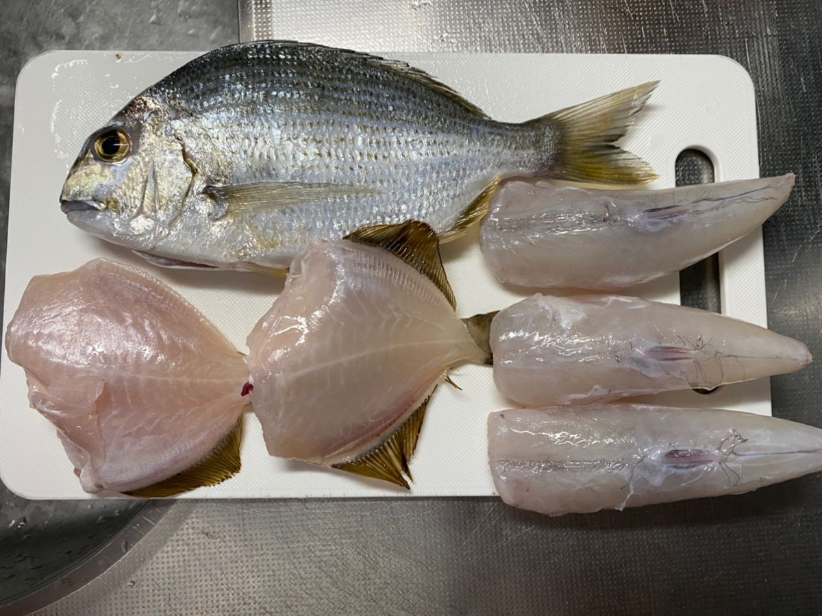 ショウサイフグ