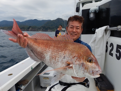 マダイの釣果