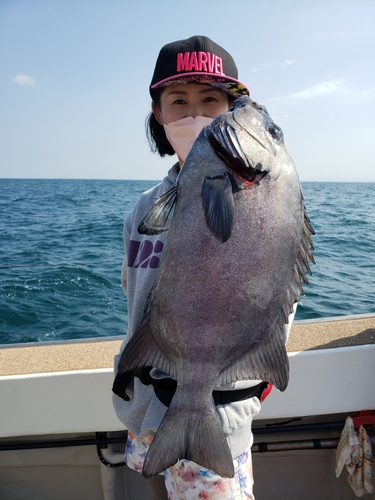 イシダイの釣果