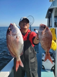 マダイの釣果