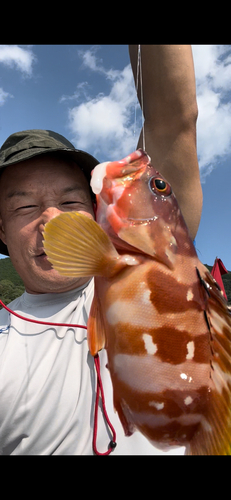 アカハタの釣果