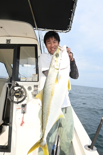 ヒラマサの釣果